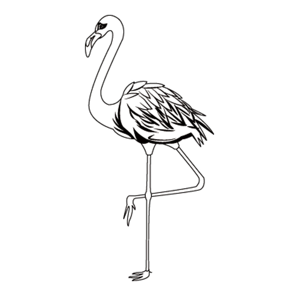 Flamingo Clothes
