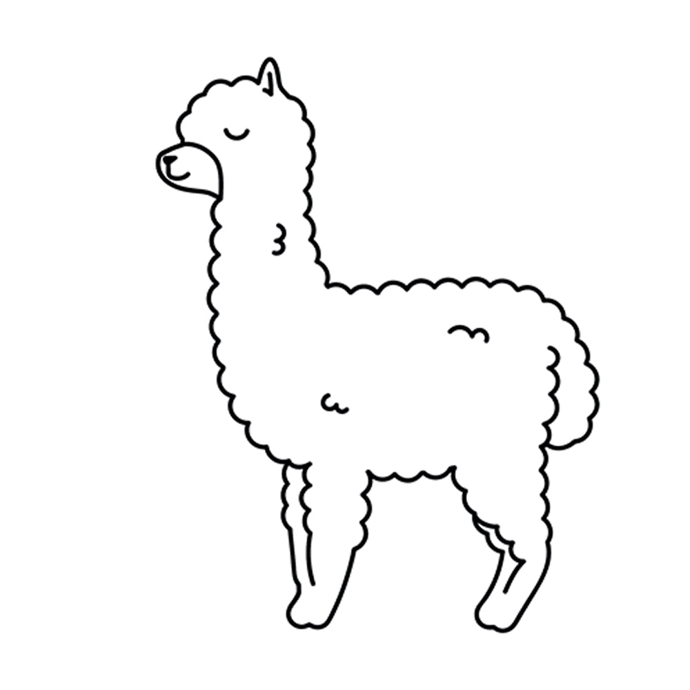 Llama Funny Clothes