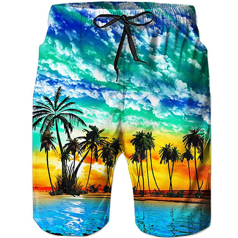 Hawaii Sunset Funny Swim Trunks