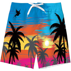 Hawaii Sunset Palm Tree Funny Boy Swim Trunk