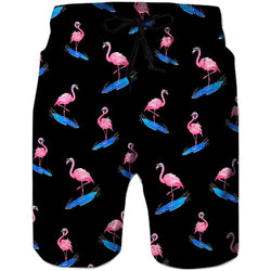 Surfing Flamingo Funny Swim Trunks