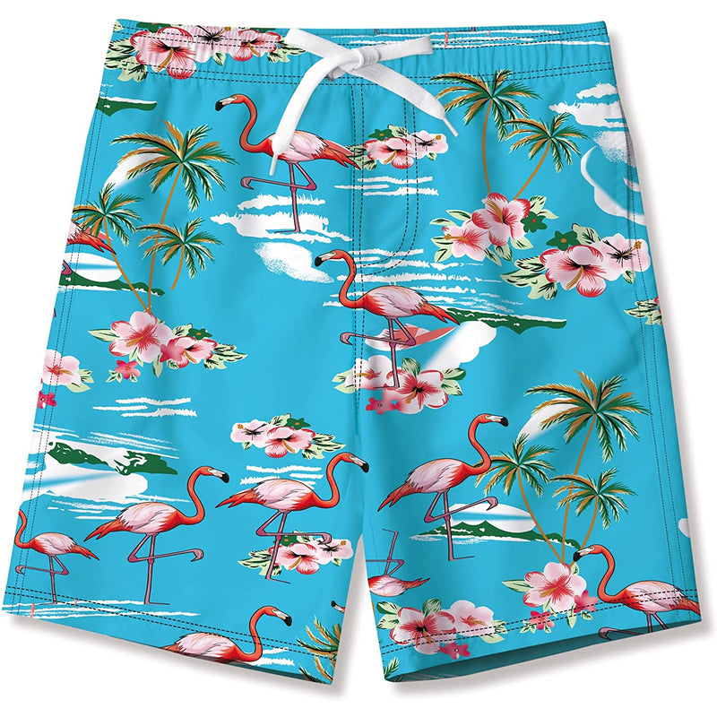 Flamingos Blue Funny Boy Swim Trunk