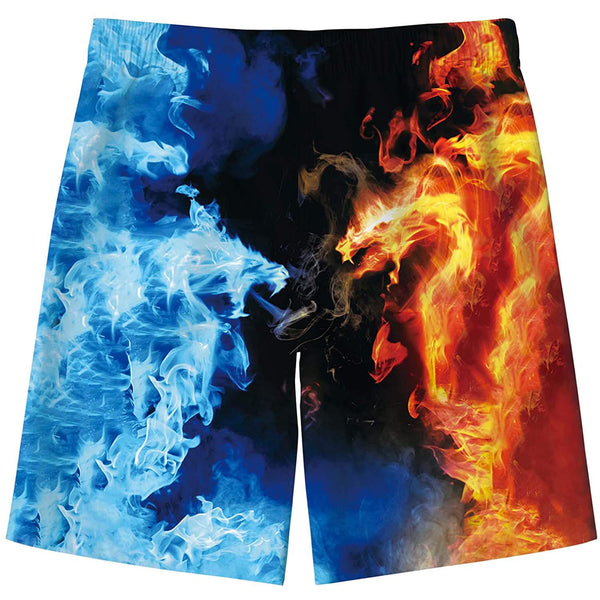 Ice & Fire Dragon Funny Boy Swim Trunk