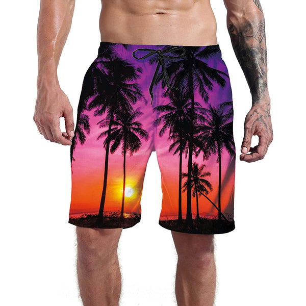 Sunset Palm Tree Funny Swim Trunks