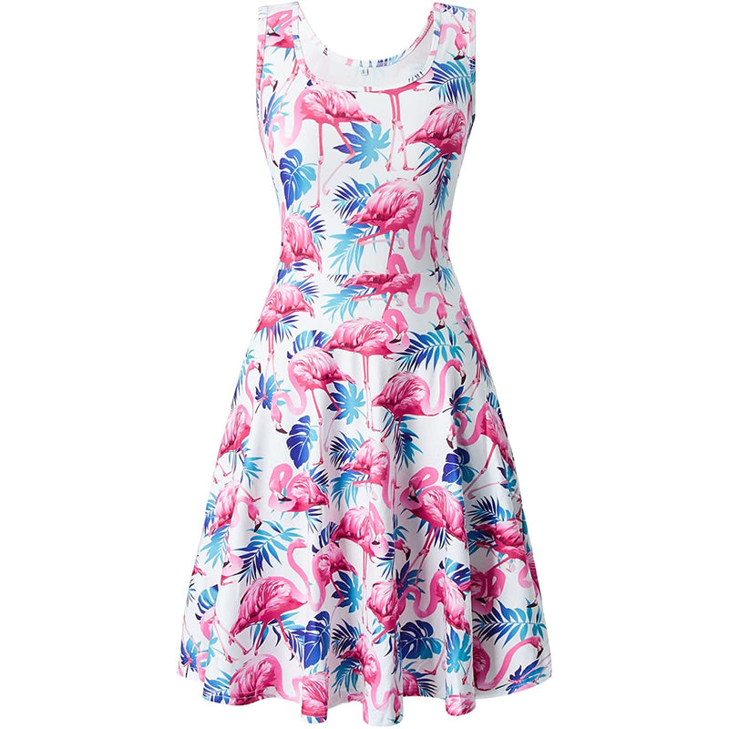 Flamingos Funny Dress for Women