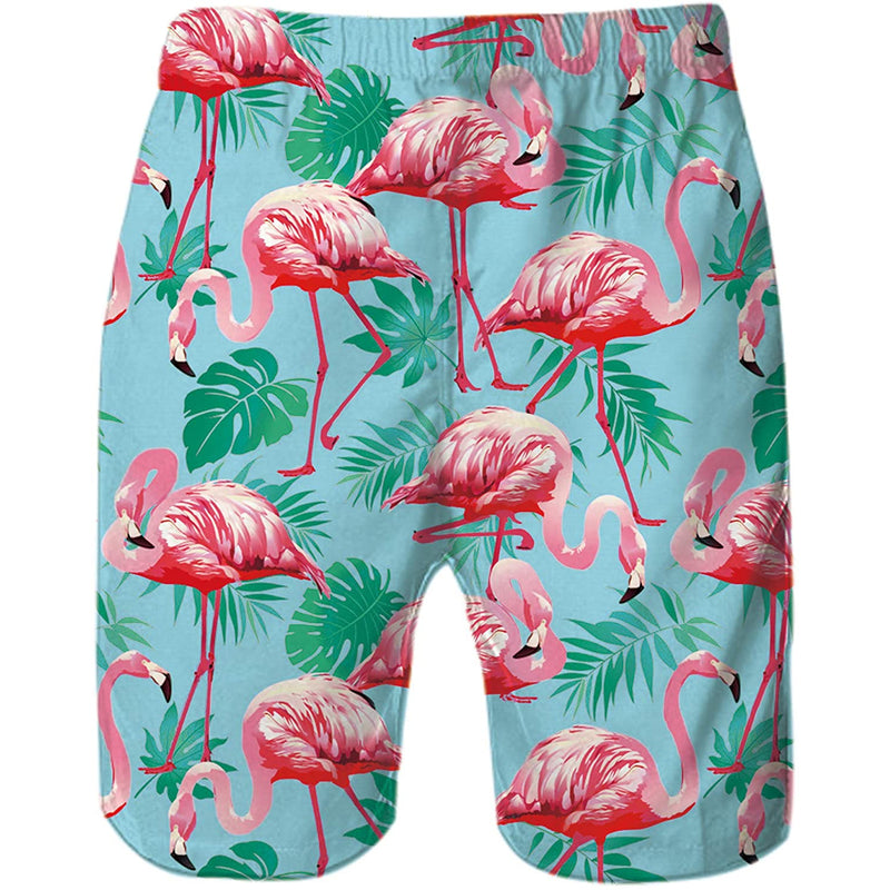 Pink Flamingo Funny Swim Trunks